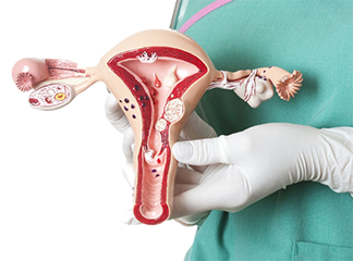 Особенности биопсии эндометрия матки